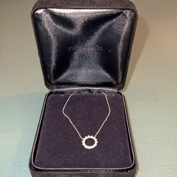 TIFFANY & CO platinum diamond circle of life necklace - Picture 1 of 3